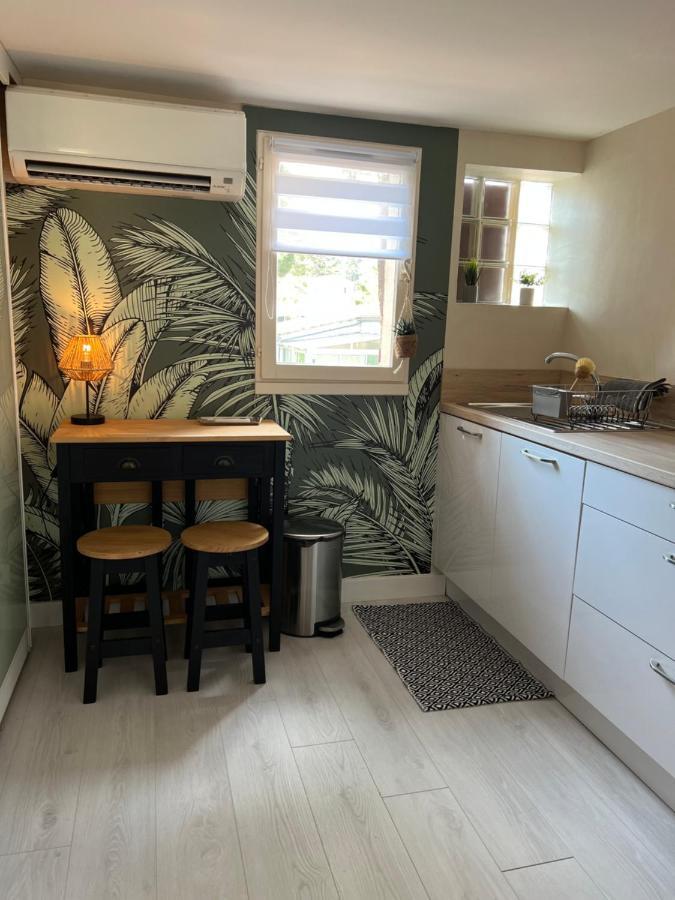Appartement Proche Village Naturiste, Terrasse Et Parking 아그 외부 사진